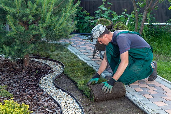 Création de jardin à Valenciennes